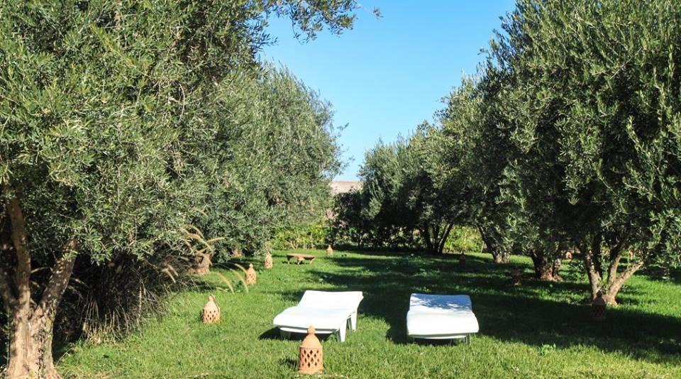 Riad Sidi Hicham Ouled Bouzid Ngoại thất bức ảnh